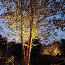 Kichler Landscape Lighting Security Lighting Allentown, PA 0