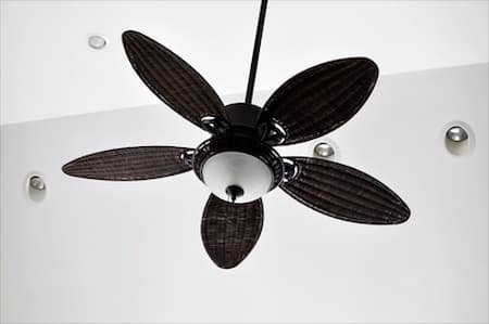 Ceiling Fans