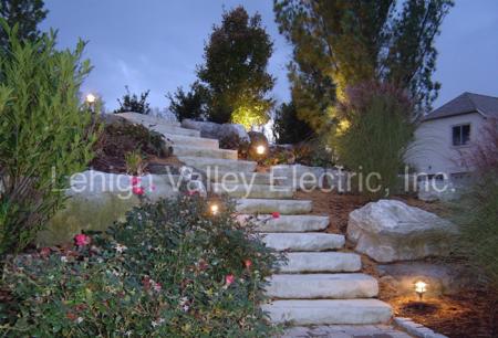 Landscape Lighting